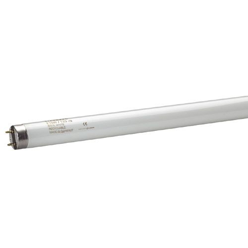 Tube T8 F25W 33_640 Blanc Industrie 818mm 4300°K fluorescent