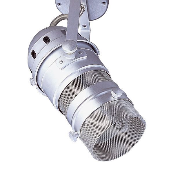 Luminaire  PROJ.PAR30 PATERE GRIS