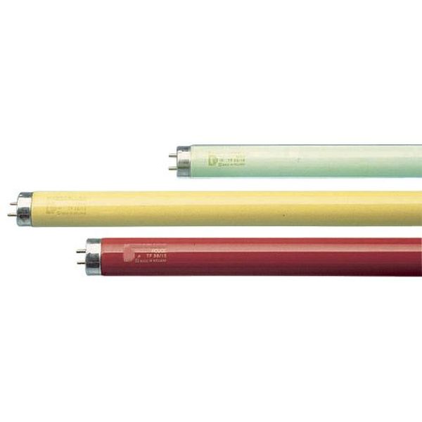 [L-72208] Tube F36W T8 Bleu G13 1200mm fluorescent couleur