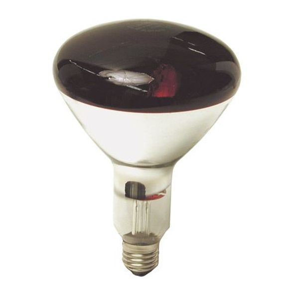 Lampe R125 Infra- Rouge 250W Rouge E27 230V couleur